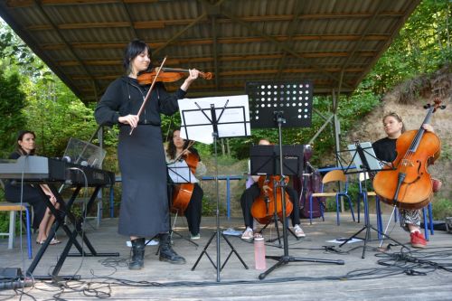 Koncert Cellofuny