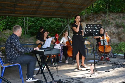 Koncert Cellofuny